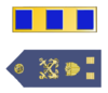 U.S. Coast Guard Chief Warrant Officer 2 Rank Insignia