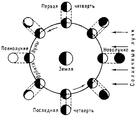 Фазы Луны.