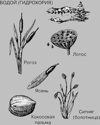 0890_006