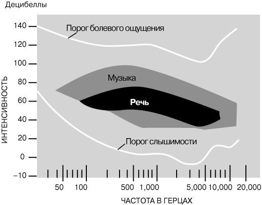 ГРАНИЦЫ ЧЕЛОВЕЧЕСКОГО СЛУХА. Верхняя белая линия отмечает границу, выше которой звук вызывает болевые ощущения. Нижняя белая линия отмечает порог слышимости (самые слабые сигналы, еще улавливаемые человеческим ухом). Обе границы имеют индивидуальные вариации.