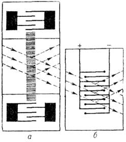 008-61.jpg