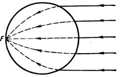 2551-41.jpg