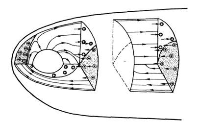 3003-1.jpg