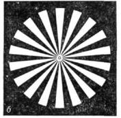 3031-55.jpg