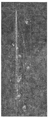 3033-96.jpg