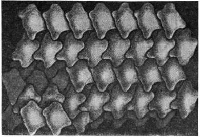 3040-31.jpg