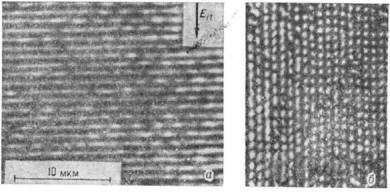 3102-32.jpg