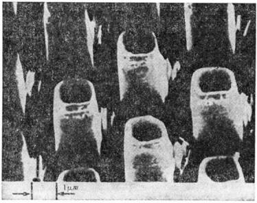 3102-36.jpg