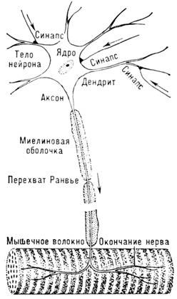 3107-20.jpg