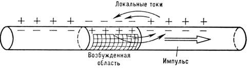3108-11.jpg