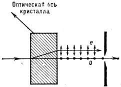4006-147.jpg