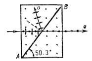 4007-11.jpg