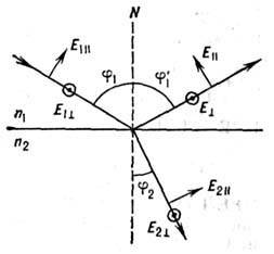 4011-266.jpg