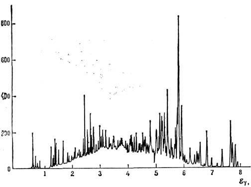 4021-101.jpg