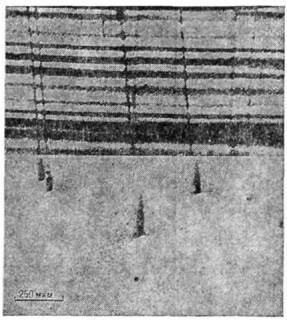 4043-39.jpg