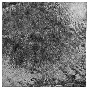 4043-40.jpg