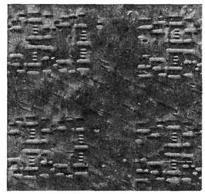 4044-1.jpg