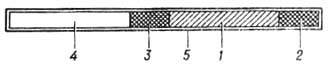 5009-52.jpg