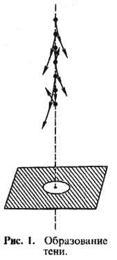 5011-14.jpg