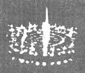 5022-8.jpg