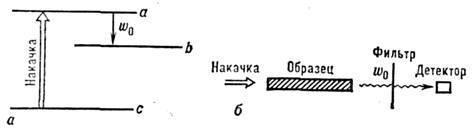 8019-6.jpg