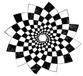 8035-50.jpg