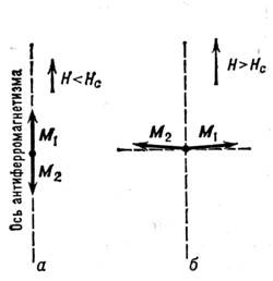 8062-17.jpg