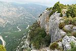Riu Montlleó.jpg