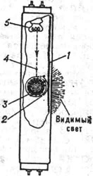 Схематическое изображение люминесцентной лампы: 1 - слой люминофора; 2 - ультрафиолетовое излучение; 3 - атомы ртути; 4 - электрон; 5 - электрод