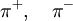\pi^+,\quad \pi^-