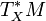 T^{*}_{X}M
