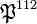 \mathfrak{P}^{112}