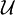 \mathcal{U}