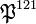 \mathfrak{P}^{121}