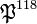 \mathfrak{P}^{118}