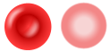 Изображение:Erythrocyte.png