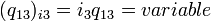 (q_{13})_{i3} = i_3q_{13} = variable \