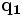 \mathbf{q_1}