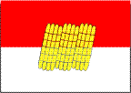 Флаг