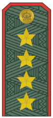 Погон генерала армии