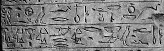 фрагмент стелы № 31664 из Field Museum of Natural History (Чикаго)