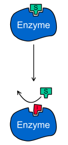 Image:inhibiteur competitif.png