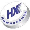 Эмблема ХК Нефтехимик Нижнекамск