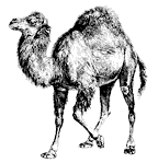 Файл:perl_logo.png