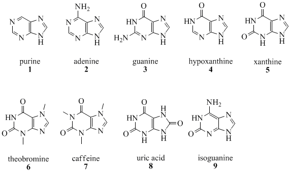 Image:purines.gif