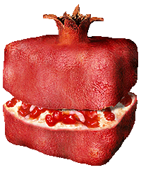 Image:Rodi_logo.PNG