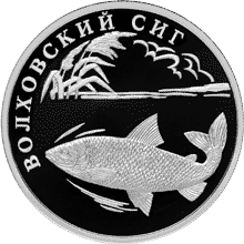 Изображение:RR5109-0075R.gif