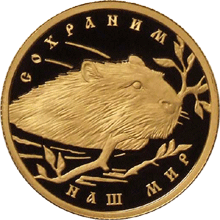 Изображение:RR5216-0067R.gif