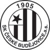 Логотип команды‎