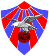 Изображение:Valur2.jpg